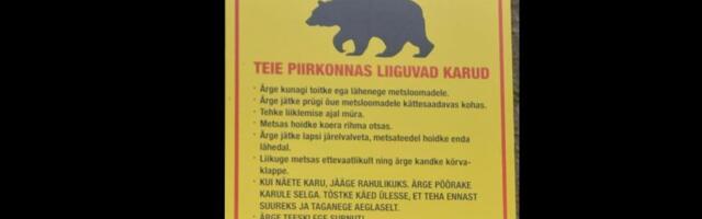 „Küll ma alles lärmasin nagu segane.“ Seeneline leidis metsast ehmatava sildi