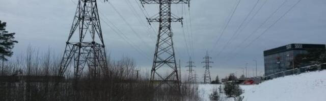 Indrek Neivelt: Eesti ostab elektrit siis, kui see on kallis, ja müüb siis, kui see on odav