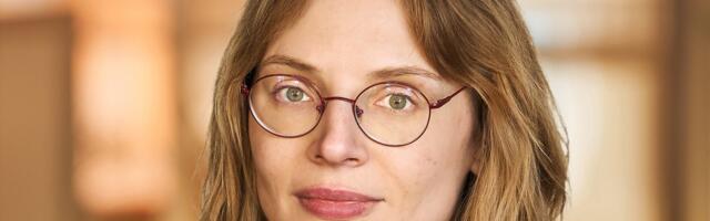 Süvaidud tegid aastaga rekordi, aga suurimat käivet näitas ikka kaitsetööstus