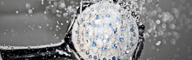 Roheliste partei esindaja käsib sakslastel duši all käimise asemel pesulappe kasutada