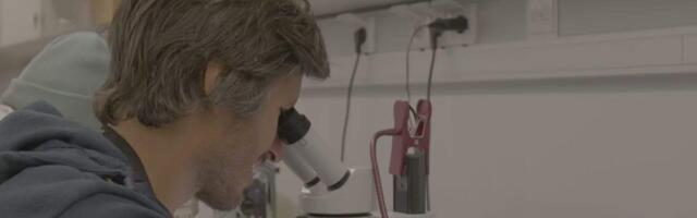 Lennusadamasse on jõudnud teaduspurjekas