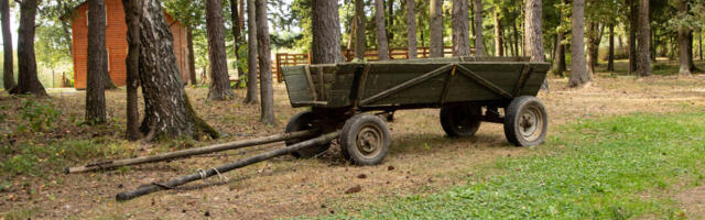 KOLUMN ⟩ Jüri Kotšinev: valitsus kriuksub ja krigiseb, loksub ja logiseb
