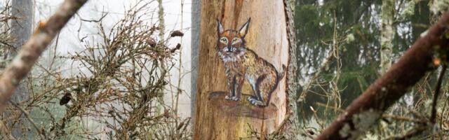 Müsteerium: RMK avastas metsast puude raiet korraldades imelise kunstinäituse