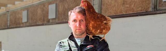 Kana-Tanel annab riigi kohtusse: üks linnuke röövis munatootjalt 18 000 eurot