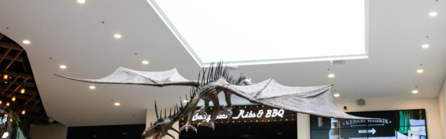 FOTOD I Äsja avatud näitusel “Vägevad draakonid” saab tutvuda erinevas suuruses ja värvides draakonitega