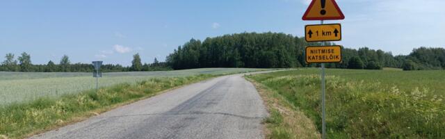 Transpordiamet katsetab: mis juhtub, kui teeääri ei niideta?