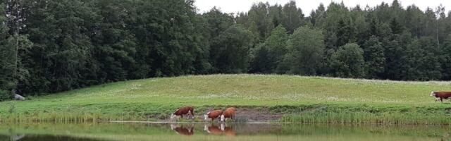 Majandustulemused | Magnum Veterinaaria kasvatas nii käivet kui kasumit