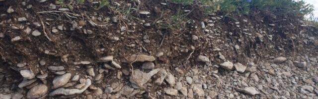 Aasta muld 2025 on klibumuld