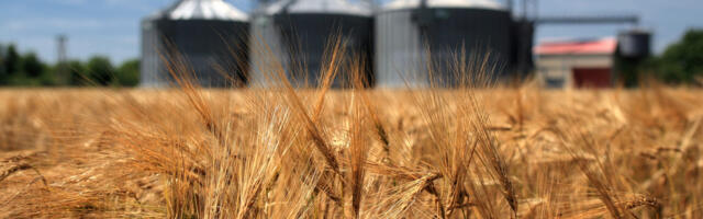 Saudidele kuuluv Eesti põllumajandusettevõte koondab pooled töötajad