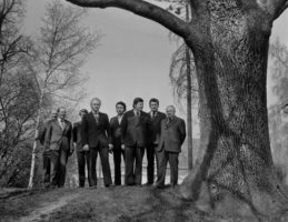 Nõnda arvas Käbin …