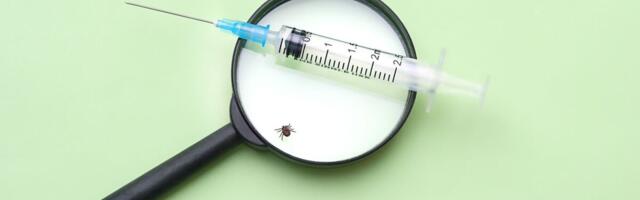 Ettevaatust, puugihooaeg on alanud