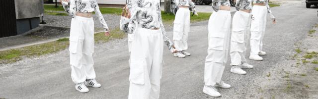 VAADE RAEKÜLA VIIENDALE TÄNAVAFESTIVALILE VÄIKESELT AJALISELT DISTANTSILT