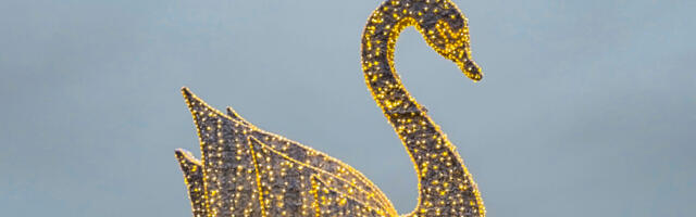 Haapsalu jõuluilule lisandus luigekuju