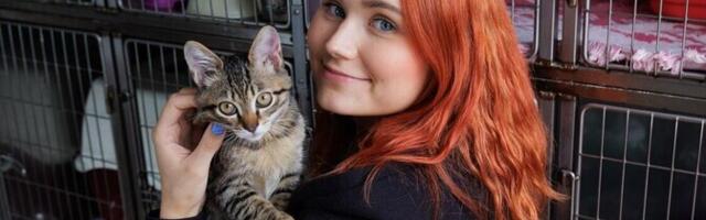 Anni Anete Mõisamaa: "eikellegi" kass, Eesti ühiskonna unustatud ohver