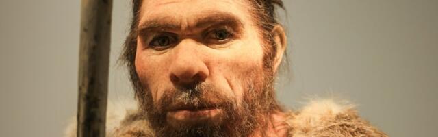 Neandertallased võisid puurida hambaid juba 60 000 aastat tagasi