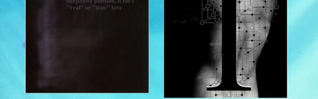 Martin Luiga tutvustab pildiraadiot "Aioleia"