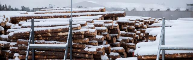 Ivar Dembovski: saeveskite tootmismahtu vähendavad toormele seatud piirangud