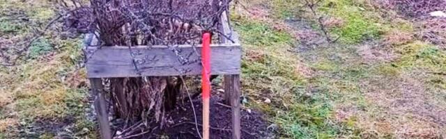 Suur ehmatus: Kohila elanik avastas, et tema aiamaa muutub peagi hoopis parklaks