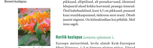 Uus puittaimede tutvustus ehk 100 aastat puittaimede määrajaid ja kirjeldajaid