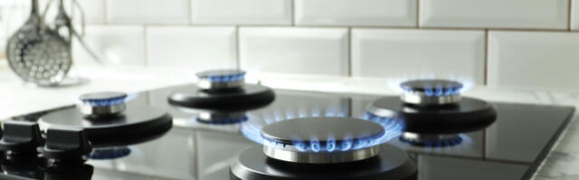 Aina kukub: Eesti Gaas langetab järjekordselt gaasi hinda