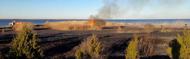 Metsas keelati lõkke tegemine, grillimine ja suitsetamine