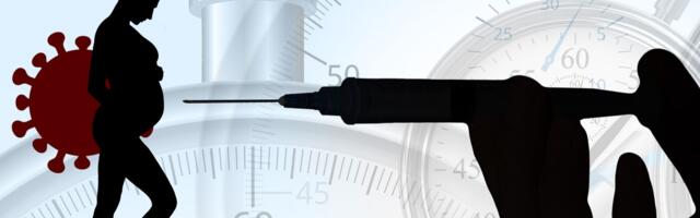 Tõendid, et COVID-i süstid kahjustavad raseda naise ja loote tervist