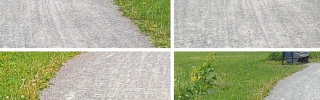 Eva Kolk NÄDALA FOTOGALERII