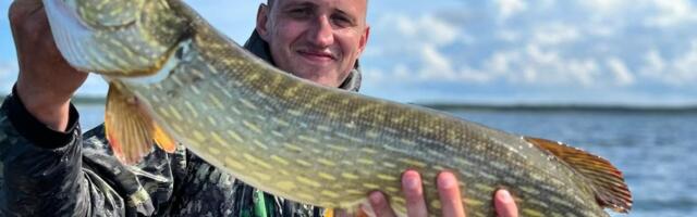 Haug ei näkka? Proovi midagi muud, kui kalameeste põlvest põlve edasi antud tarkusi