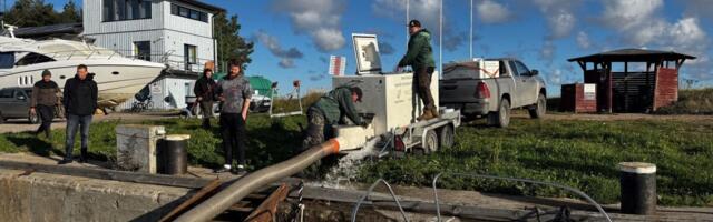 Põlula kalakasvatuskeskus asustas sügisel Eesti veekogudesse üle 230 000 noorkala