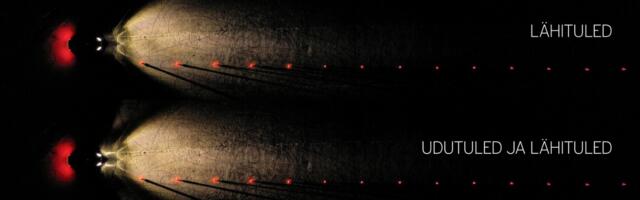 Sõiduõpetaja: pimedas on juhid nähtavuse suhtes liialt enesekindlad