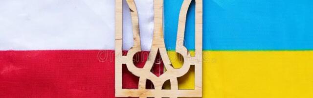 Why’d Poland Grant Amnesty To Its Mercenaries Who Fought For Ukraine?