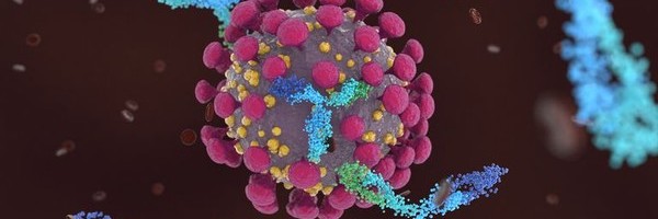 Estonian COVID-19 infection rate falls fourfold in month - ERR