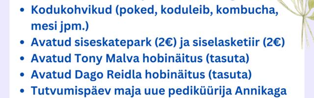 Tihemetsas oodatakse piirkonnapäevale