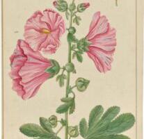 Putukad lugemissaalis – teadusraamatukogu uus reaalsus