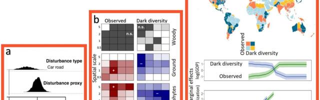 Bruno Paganeli kaitseb doktoritööd „Dark diversity methods for prioritization of areas and species in nature conservation“