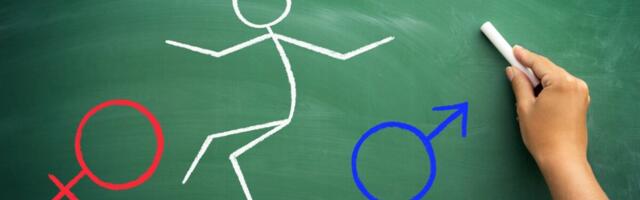 Pärnakivi: Eesti soodüsfooria korraldus sai raha juurde