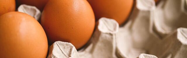 Uuring: eestlased peavad kanamunade puhul kõige olulisemaks hinda