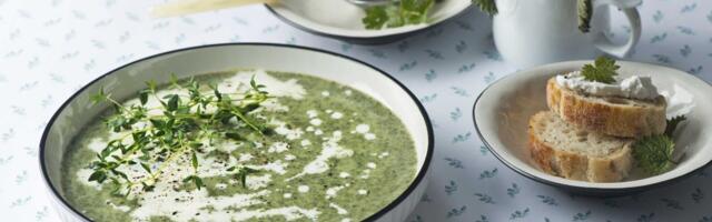 VÕIMAS KEVADINE ENERGIAPOMM! Koorene nõgesepüreesupp