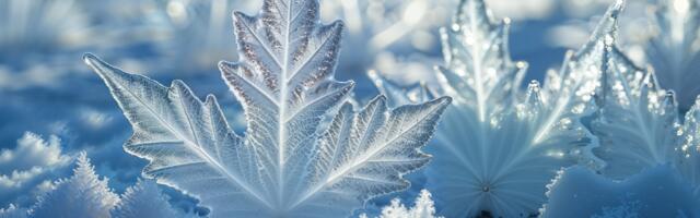 Päevahoroskoop : reede, 28. november