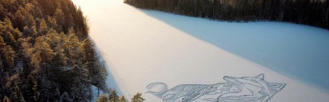 Põhjanaaber loob külmunud järvel lumelabidaga imelist kunsti