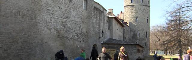 Reporter: Tornide väljakule rajati Vanalinna kogukonna aed