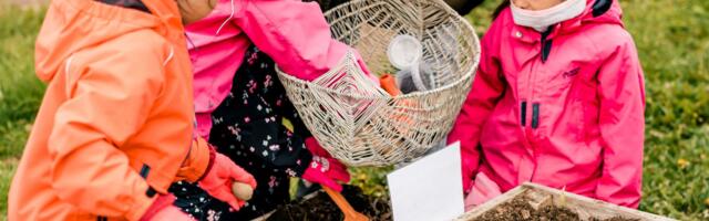 Tartu jätkab laste tervislike toitumisharjumuste kujundamist