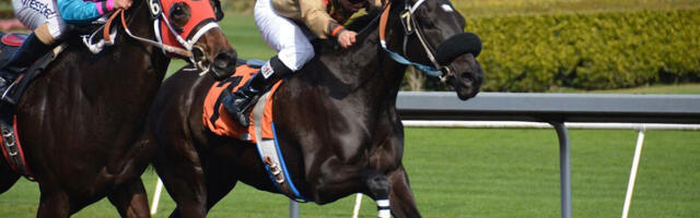 Kõige uskumatumad võidud spordiennustuste ajaloos