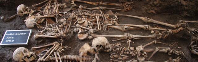 Luud ja kondid paljastasid keskaegsete tartlaste toidulaua