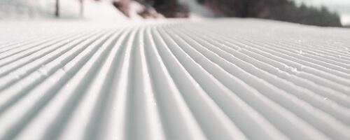 12. jaanuaril sai alguse Tõrva valla suusaseriaal 2025