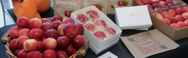 Väikeettevõtjad: Eestis on EL-i toetuste taotlemine ülereguleeritud