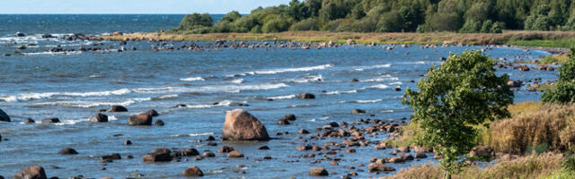 Allveeliugur tõi ilmsiks Läänemere varjatud veeliikumised