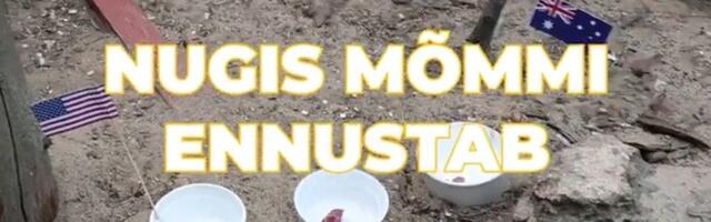 Nugis Mõmmi ennustab | Kas USA saab kodusel MM-il teise võidu või suudab Austraalia üllatada?