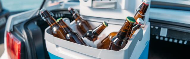 Võta toit ja jook autoreisile kaasa: mille järgi valida jahutuskaste ja külmikuid?