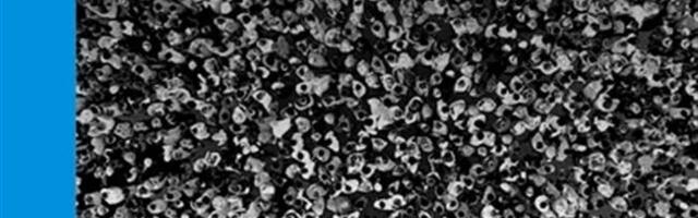 Jeesus, Maarja ja Joosep